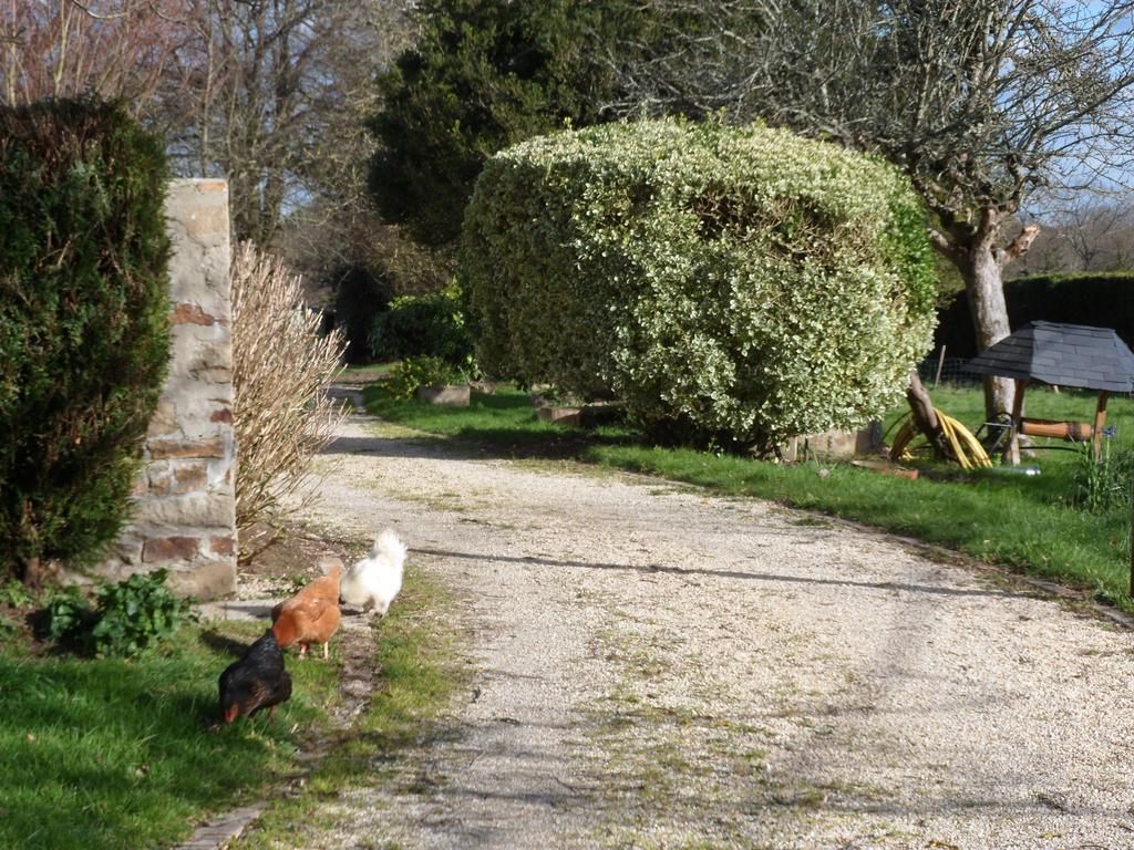 Farmhouse In An Amazing Private Park Pensionat Vannes Exteriör bild